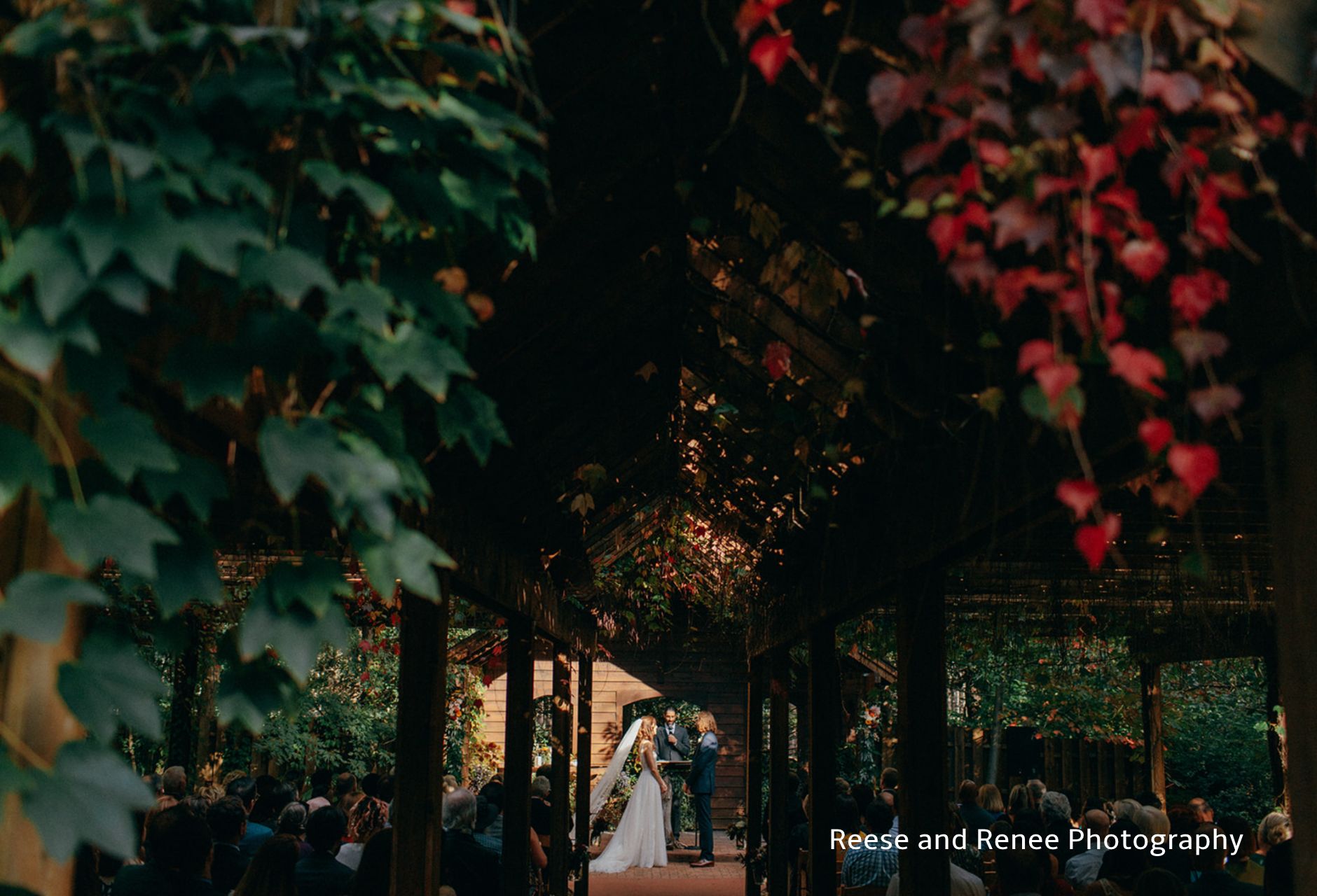 BlueBridge | Blue Chapel/Centre | Outdoor Wedding | Fall Wedding | Northern Michigan Wedding Venue | Bride and Groom